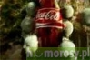 Coca-Cola - automat